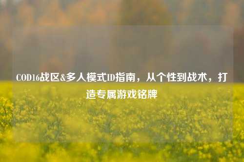 COD16战区&多人模式ID指南,从个性到战术,打造专属游戏铭牌