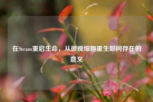 在Steam重启生命,从微观细胞重生叩问存在的意义