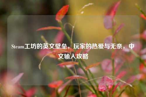 Steam工坊的英文壁垒,玩家的热爱与无奈,中文输入攻略