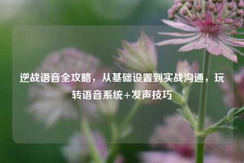 逆战语音全攻略,从基础设置到实战沟通,玩转语音系统+发声技巧
