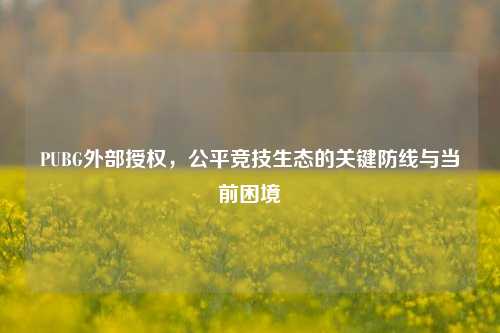 PUBG外部授权,公平竞技生态的关键防线与当前困境