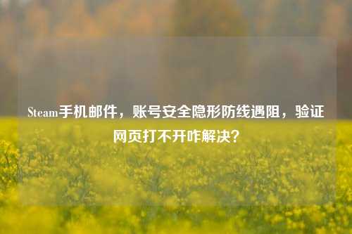 Steam手机邮件,账号安全隐形防线遇阻,验证网页打不开咋解决?