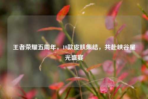 王者荣耀五周年,19款皮肤集结,共赴峡谷星光盛宴