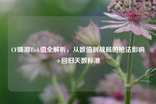 CF端游Tick值全解析,从数值到战局的枪法影响+回归天数标准