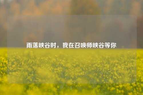 雨落峡谷时,我在召唤师峡谷等你