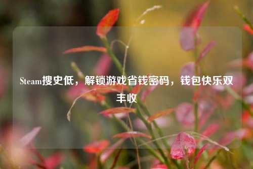 Steam搜史低,解锁游戏省钱密码,钱包快乐双丰收