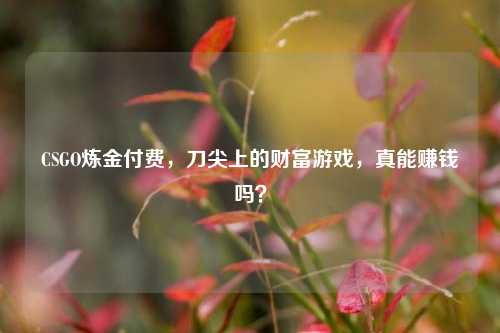 CSGO炼金付费,刀尖上的财富游戏,真能赚钱吗?