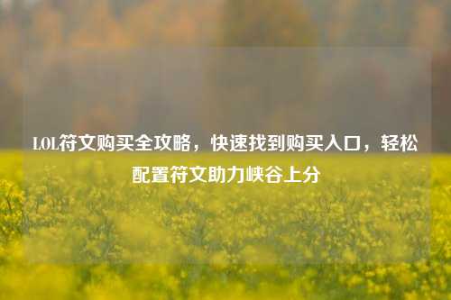 LOL符文购买全攻略,快速找到购买入口,轻松配置符文助力峡谷上分