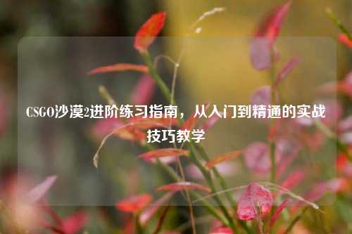 CSGO沙漠2进阶练习指南,从入门到精通的实战技巧教学
