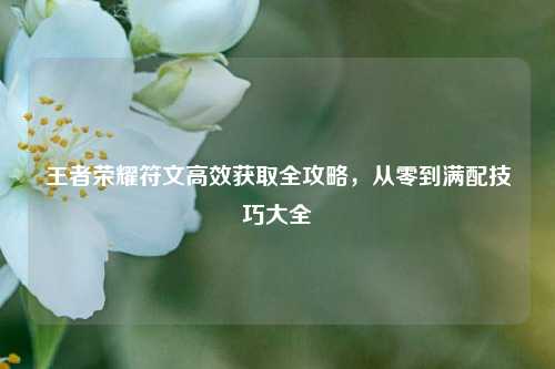 王者荣耀符文高效获取全攻略,从零到满配技巧大全