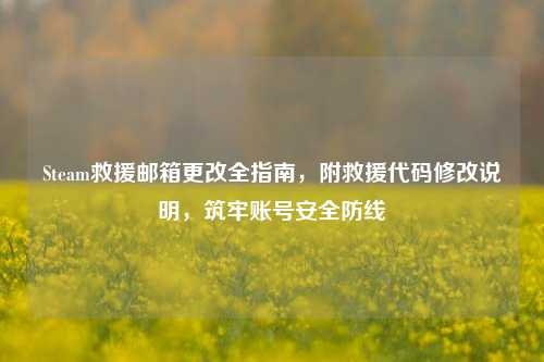 Steam救援邮箱更改全指南,附救援代码修改说明,筑牢账号安全防线