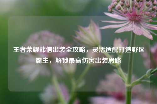 王者荣耀韩信出装全攻略,灵活适配打造野区霸主,解锁更高伤害出装思路