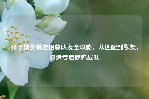 和平精英精准招募队友全攻略,从匹配到默契,打造专属吃鸡战队
