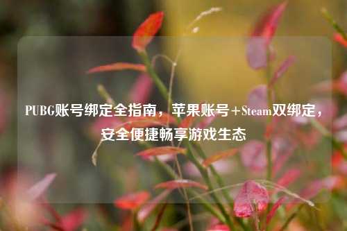 PUBG账号绑定全指南,苹果账号+Steam双绑定,安全便捷畅享游戏生态