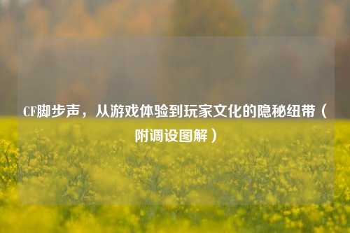 CF脚步声,从游戏体验到玩家文化的隐秘纽带(附调设图解)