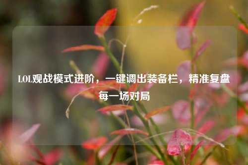 LOL观战模式进阶,一键调出装备栏,精准复盘每一场对局