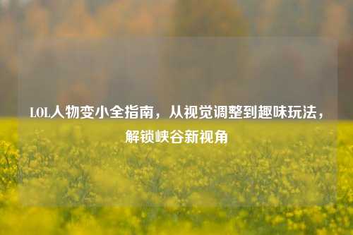 LOL人物变小全指南,从视觉调整到趣味玩法,解锁峡谷新视角
