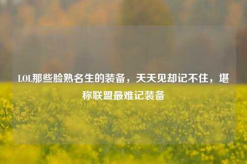 LOL那些脸熟名生的装备,天天见却记不住,堪称联盟最难记装备