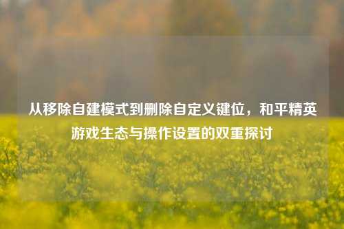 从移除自建模式到删除自定义键位,和平精英游戏生态与操作设置的双重探讨