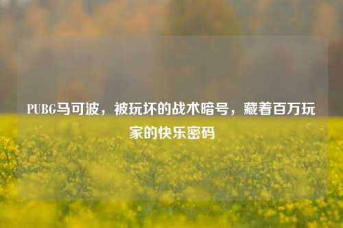 PUBG马可波,被玩坏的战术暗号,藏着百万玩家的快乐密码