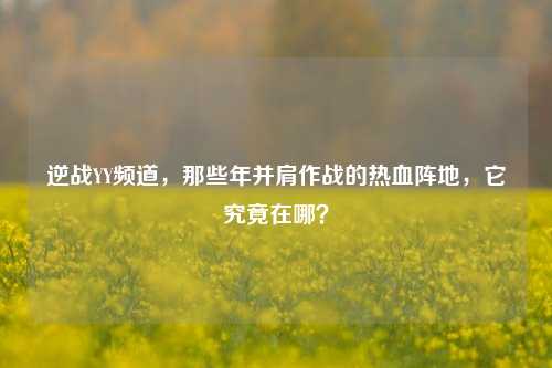 逆战YY频道,那些年并肩作战的热血阵地,它究竟在哪?