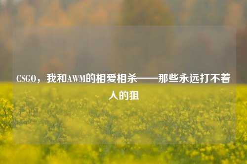 CSGO,我和AWM的相爱相杀——那些永远打不着人的狙