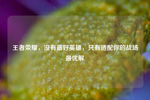 王者荣耀,没有更好英雄,只有适配你的战场更优解