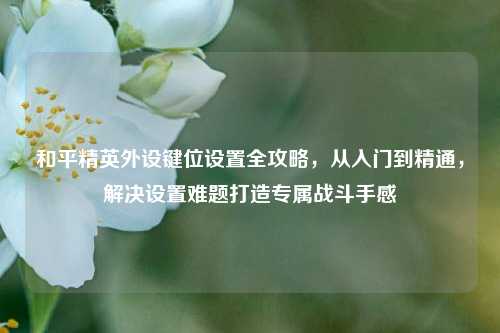 和平精英外设键位设置全攻略,从入门到精通,解决设置难题打造专属战斗手感