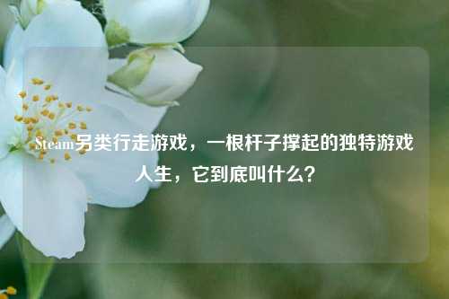 Steam另类行走游戏,一根杆子撑起的独特游戏人生,它到底叫什么?