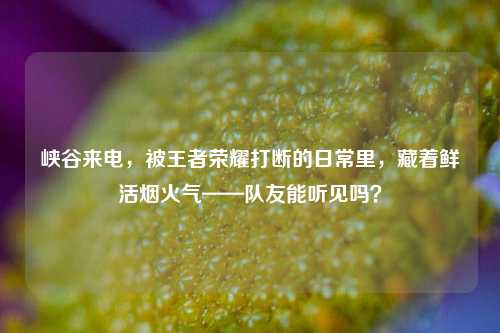 峡谷来电,被王者荣耀打断的日常里,藏着鲜活烟火气——队友能听见吗?