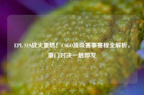 EPL S19战火重燃!CSGO顶级赛事赛程全解析,豪门对决一触即发