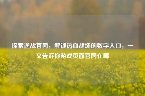 探索逆战官网,解锁热血战场的数字入口,一文告诉你游戏页面官网在哪