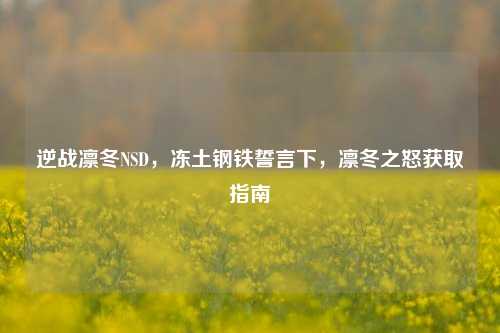 逆战凛冬NSD,冻土钢铁誓言下,凛冬之怒获取指南