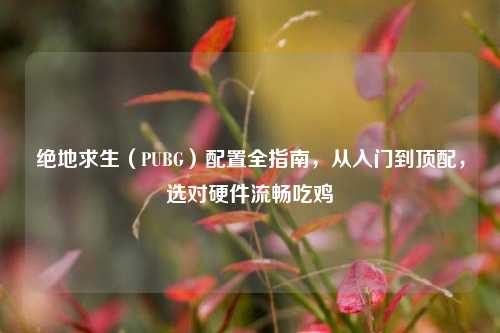 绝地求生(PUBG)配置全指南,从入门到顶配,选对硬件流畅吃鸡
