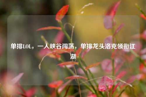 单排LOL,一人峡谷闯荡,单排龙头洛克领衔江湖