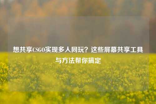 想共享CSGO实现多人同玩?这些屏幕共享工具与 帮你搞定