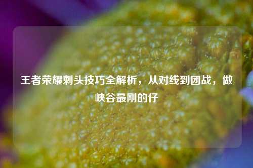 王者荣耀刺头技巧全解析,从对线到团战,做峡谷最刚的仔