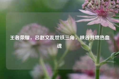 王者荣耀,吕赵文乱世铁三角,峡谷共燃热血魂