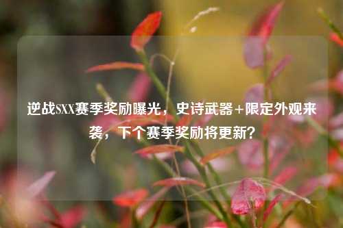 逆战SXX赛季奖励曝光,史诗武器+限定外观来袭,下个赛季奖励将更新?