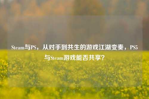 Steam与PS,从对手到共生的游戏江湖变奏,PS5与Steam游戏能否共享?