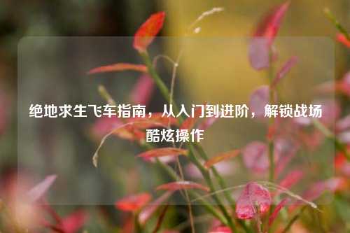 绝地求生飞车指南,从入门到进阶,解锁战场酷炫操作