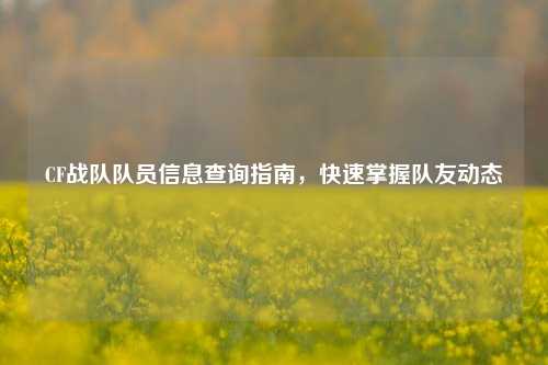 CF战队队员信息查询指南,快速掌握队友动态
