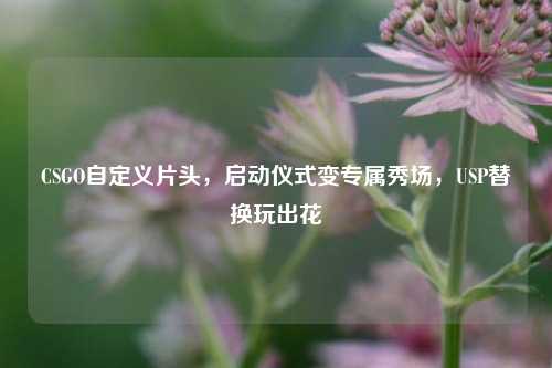 CSGO自定义片头,启动仪式变专属秀场,USP替换玩出花