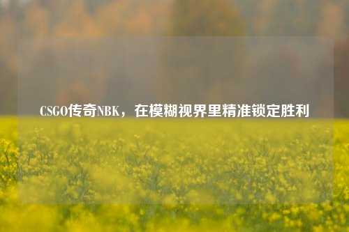 CSGO传奇NBK,在模糊视界里精准锁定胜利