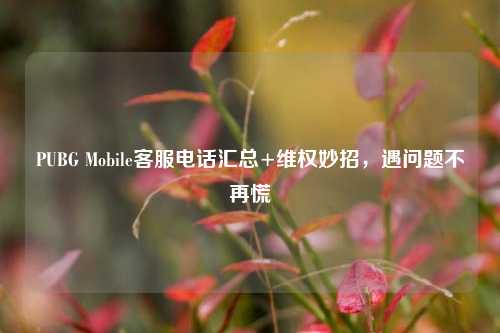 PUBG Mobile 汇总+ 妙招,遇问题不再慌