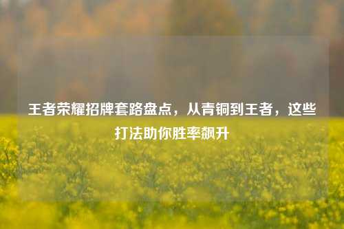 王者荣耀招牌套路盘点,从青铜到王者,这些打法助你胜率飙升