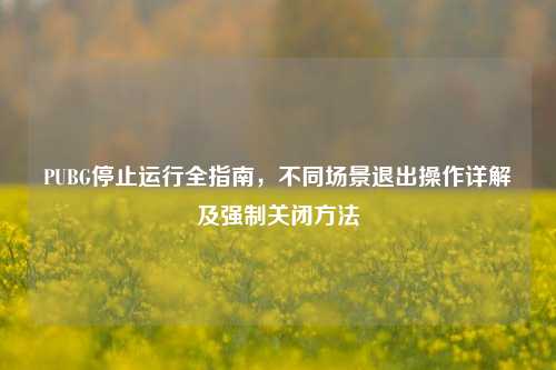 PUBG停止运行全指南,不同场景退出操作详解及强制关闭