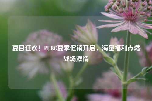 夏日狂欢！PUBG夏季促销开启，海量福利点燃战场     