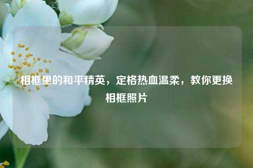 相框里的和平精英,定格热血温柔,教你更换相框照片