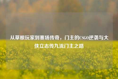 从草根玩家到赛场传奇,门主的CSGO逆袭与大侠立志传九流门主之路